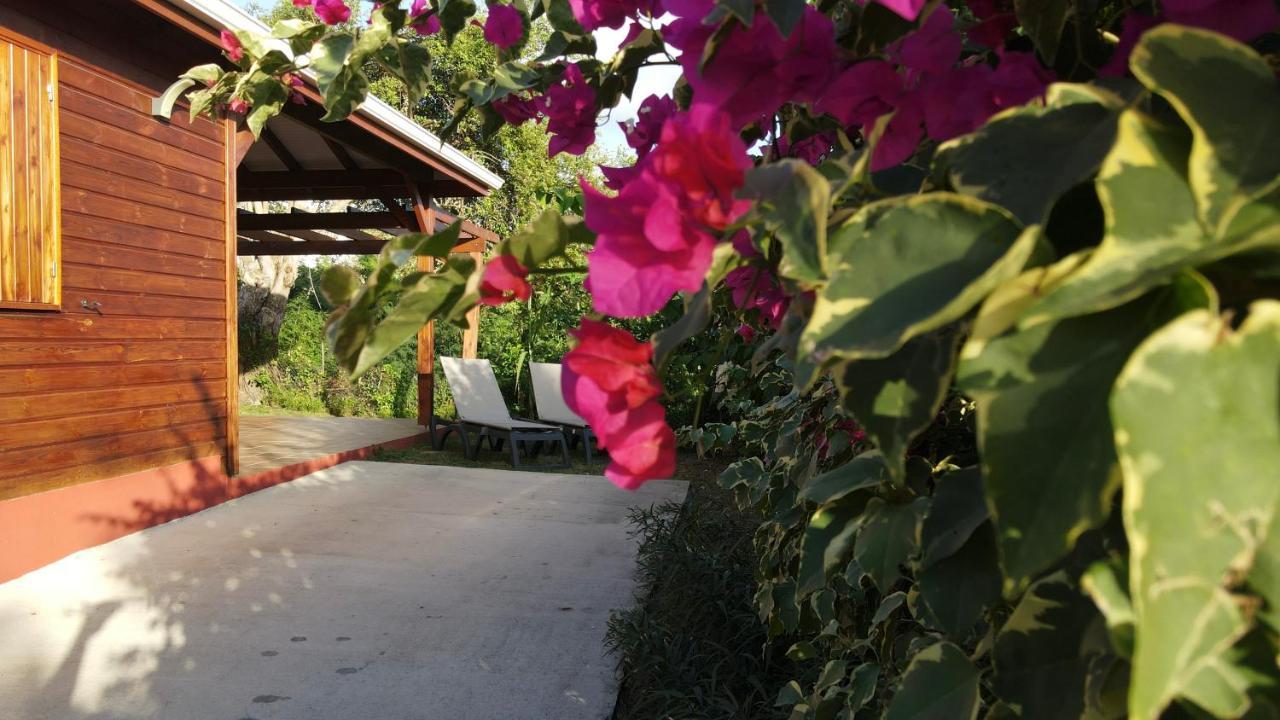 Kalypso - Les Villas Kikko Saint-Francois  Exterior foto